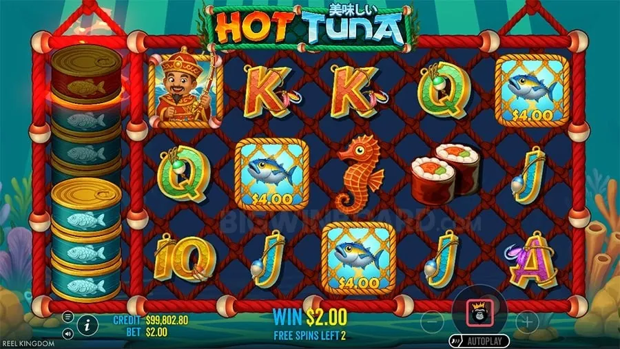 Diverse Casino Game Selection
